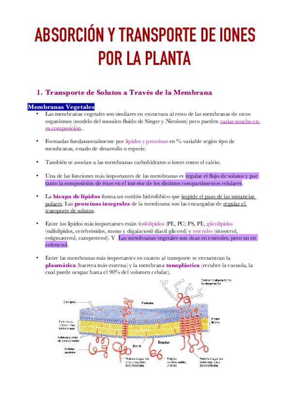 Miniatura del documento Apuntes-Tema-4.pdf