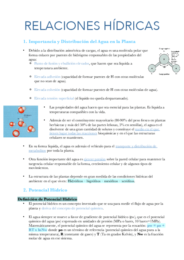 Miniatura del documento Apuntes-Tema-2.pdf