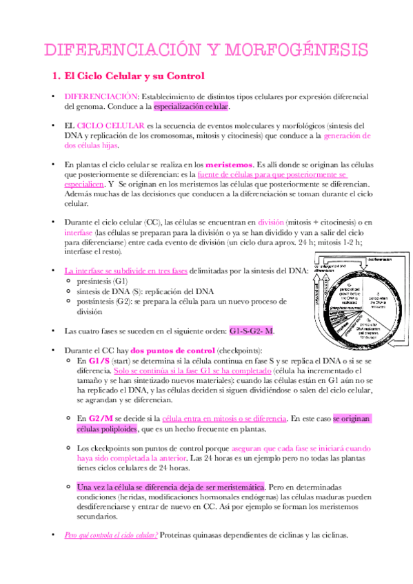 Miniatura del documento Apuntes-Tema-14.pdf