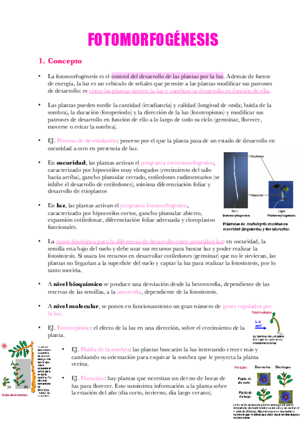 Miniatura del documento Apuntes-Tema-16.pdf