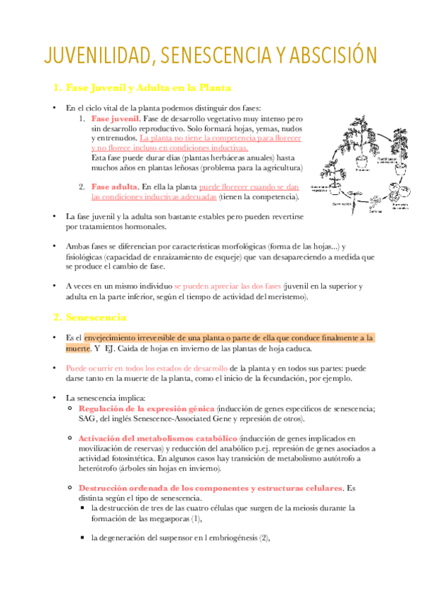 Miniatura del documento Apuntes-Tema-15.pdf