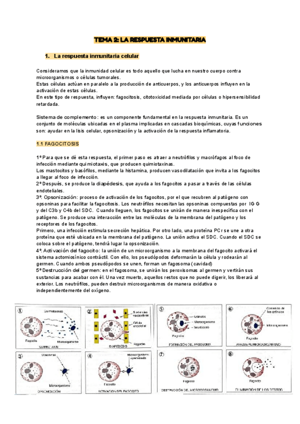 Miniatura del documento TEMA-2-inmuno.pdf
