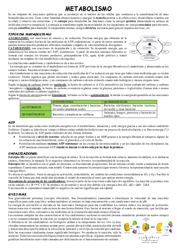 Miniatura del documento Metabolismo.pdf