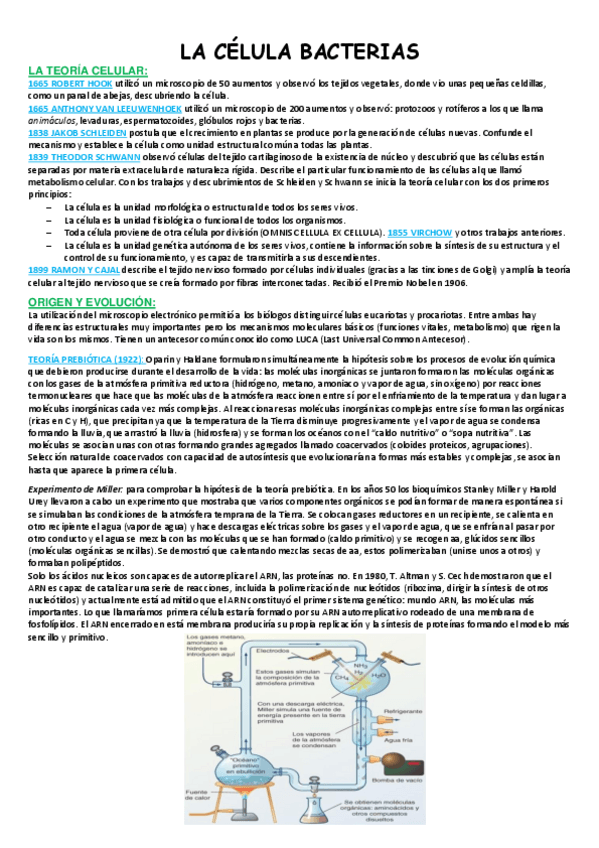 Miniatura del documento Teoria-celular-y-las-bacterias.pdf