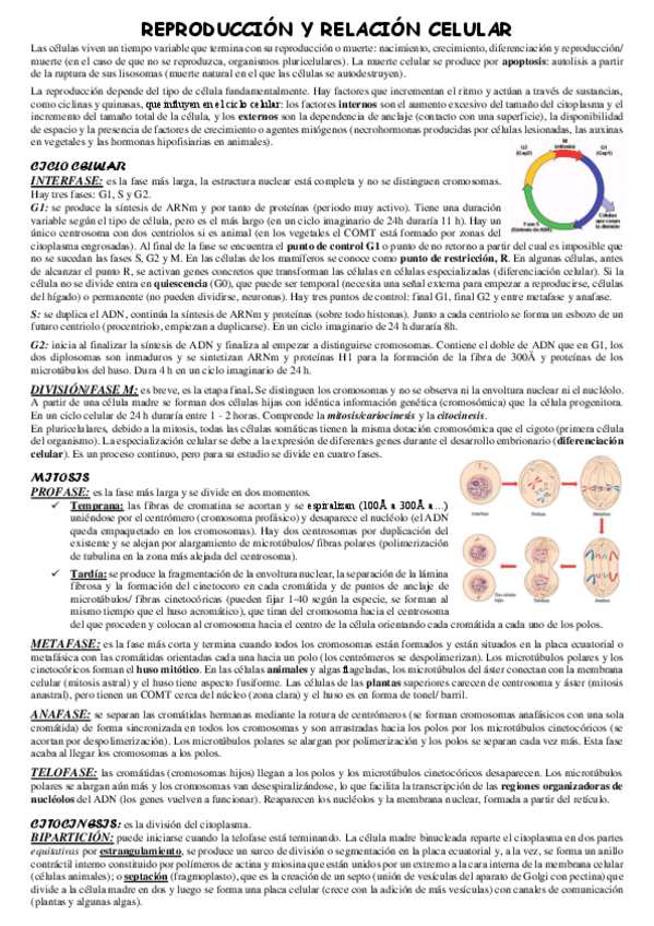 Miniatura del documento Reproduccion-y-relacion-celular.pdf