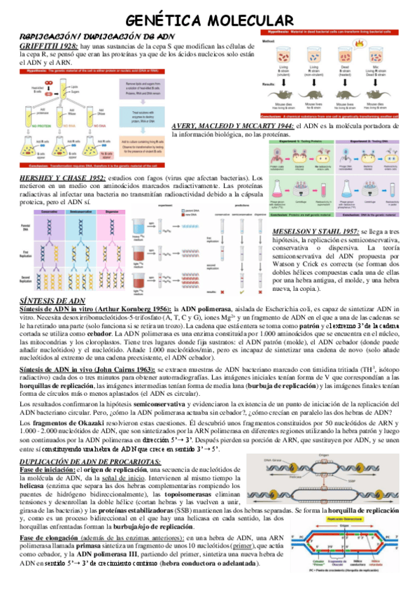 Miniatura del documento Genetica.pdf