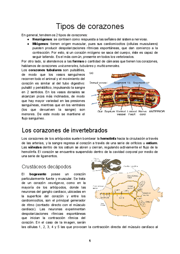 Miniatura del documento Tema-8.pdf