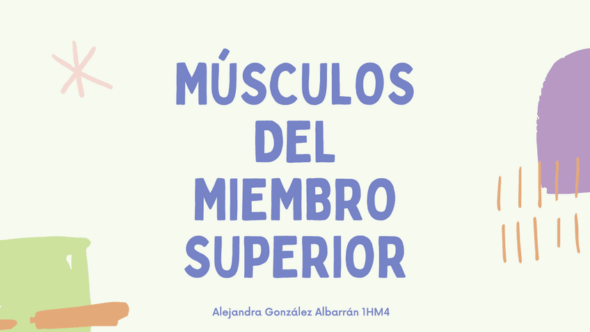 Miniatura del documento Musculos-del-miembro-superior.pdf