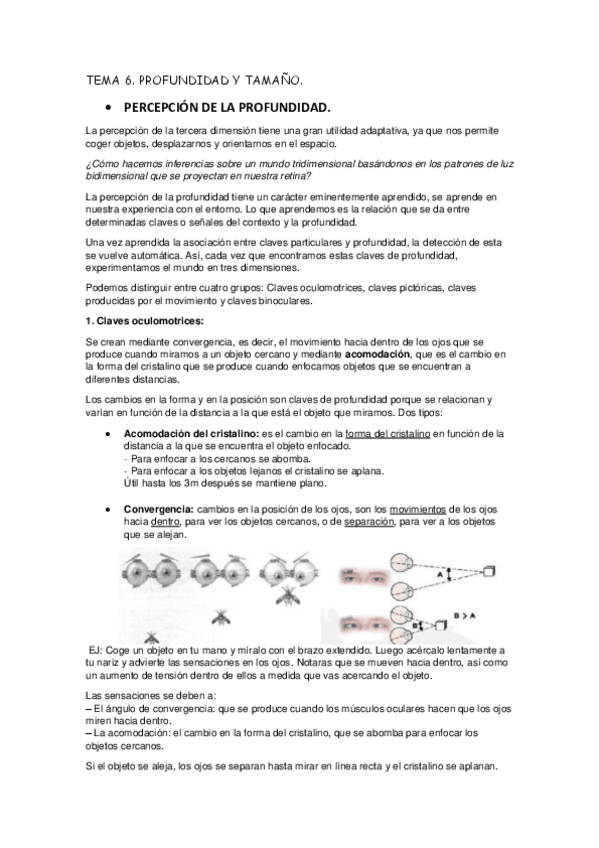 Miniatura del documento PROFUNDIDAD Y TAMAÑO.pdf