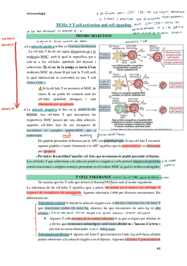Miniatura del documento IMMUNO-Temes-9-11.pdf