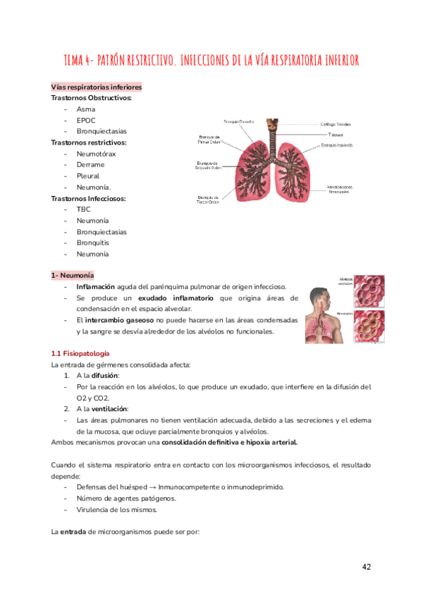 Miniatura del documento TEMA-4-PATRON-RESTRICTIVO.pdf