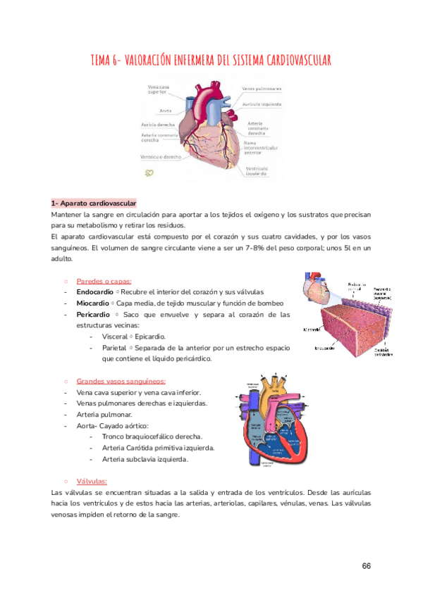 Miniatura del documento TEMA-6-VALORACION-ENFERMERA-DEL-SISTEMA-CARDIOVASCULAR.pdf