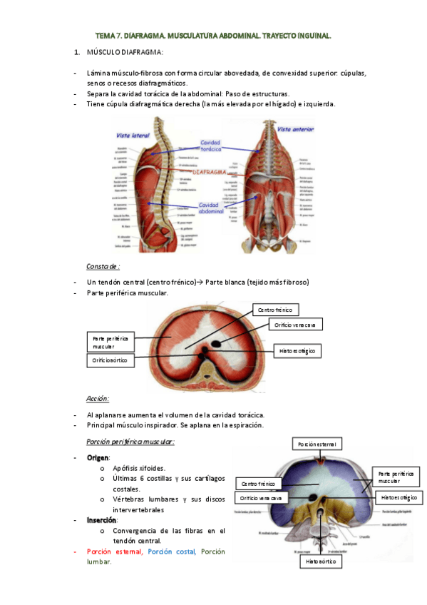 Miniatura del documento TEMA-7.pdf