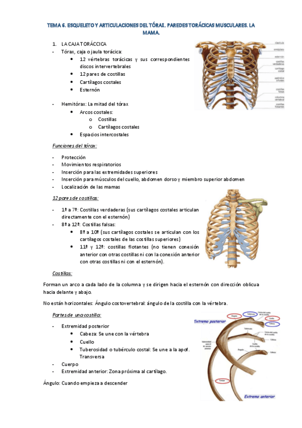 Miniatura del documento TEMA-6.pdf