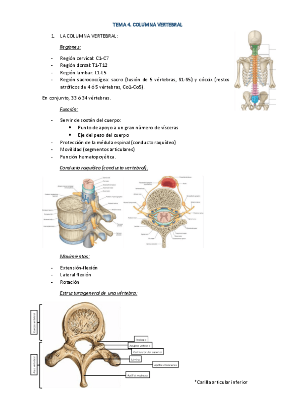 Miniatura del documento TEMA-4.pdf