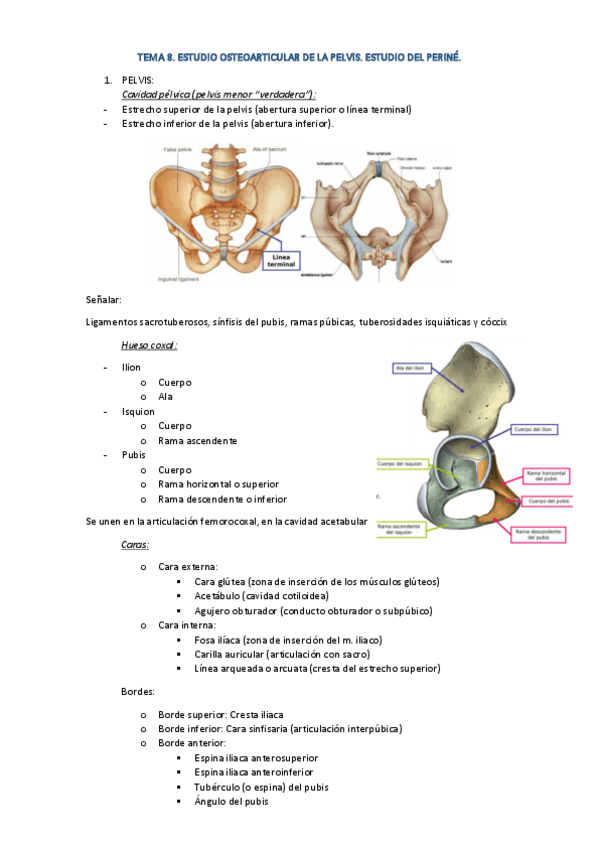 Miniatura del documento TEMA-8.pdf