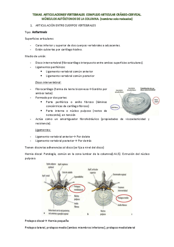 Miniatura del documento TEMA-5.pdf
