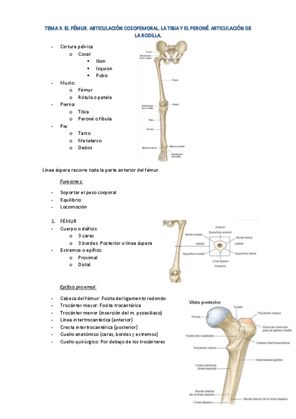 Miniatura del documento TEMA-9.pdf