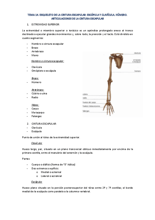 Miniatura del documento TEMA-14.pdf