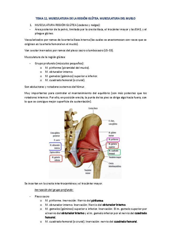 Miniatura del documento TEMA-11.pdf