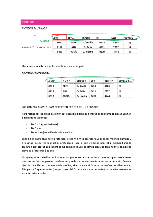 Miniatura del documento APUNTES-ACCESS.pdf