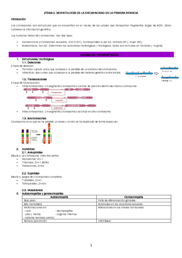 Miniatura del documento TEMA-2-bloque-2.pdf