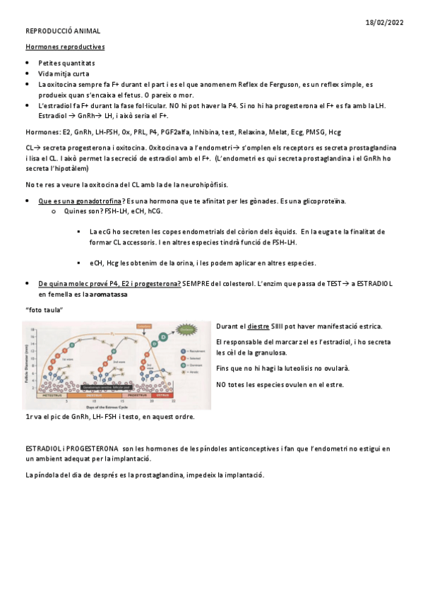 Miniatura del documento REPRO-els-3-primers-juntsmerged.pdf