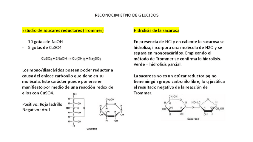 Miniatura del documento RESUMO-PRACTICAS-MOI-CURTO.pdf