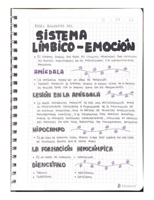 Miniatura del documento SISTEMA-LIMBICO.pdf
