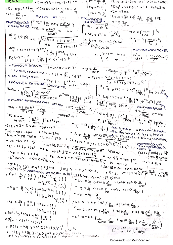 Miniatura del documento formulario-M.pdf