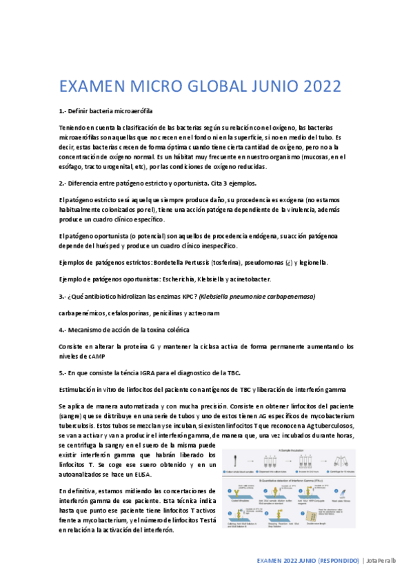 Miniatura del documento EXAMEN-JUNIO-2022-respondido.pdf