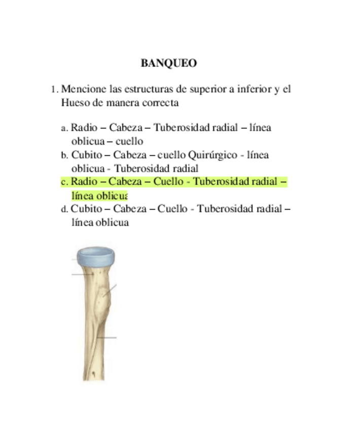 Miniatura del documento Banqueo-traumatologia.pdf
