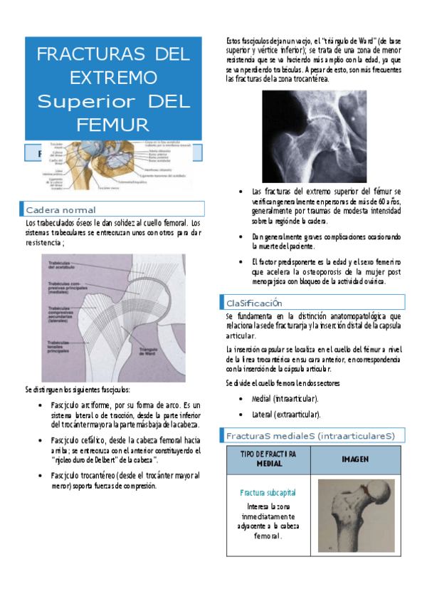 Miniatura del documento Fractura-cuello-de-Femur.pdf