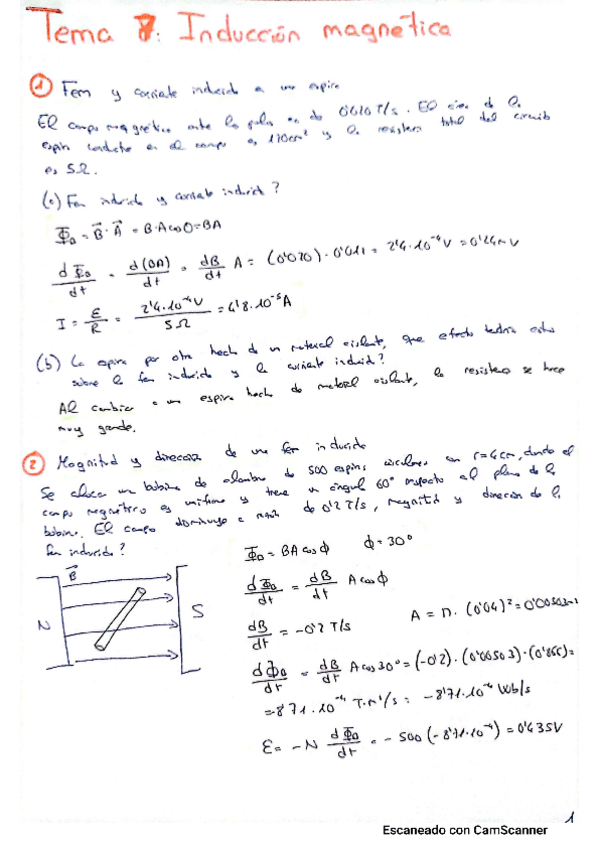 Miniatura del documento 7-Induccion-magnetica.pdf