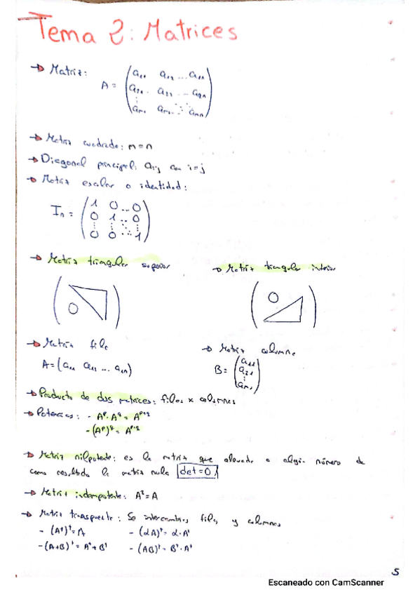Miniatura del documento Ejercicios-y-apuntes-matrices.pdf
