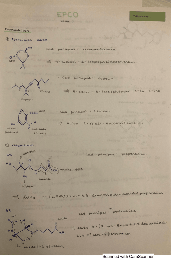 Miniatura del documento formulacion.pdf