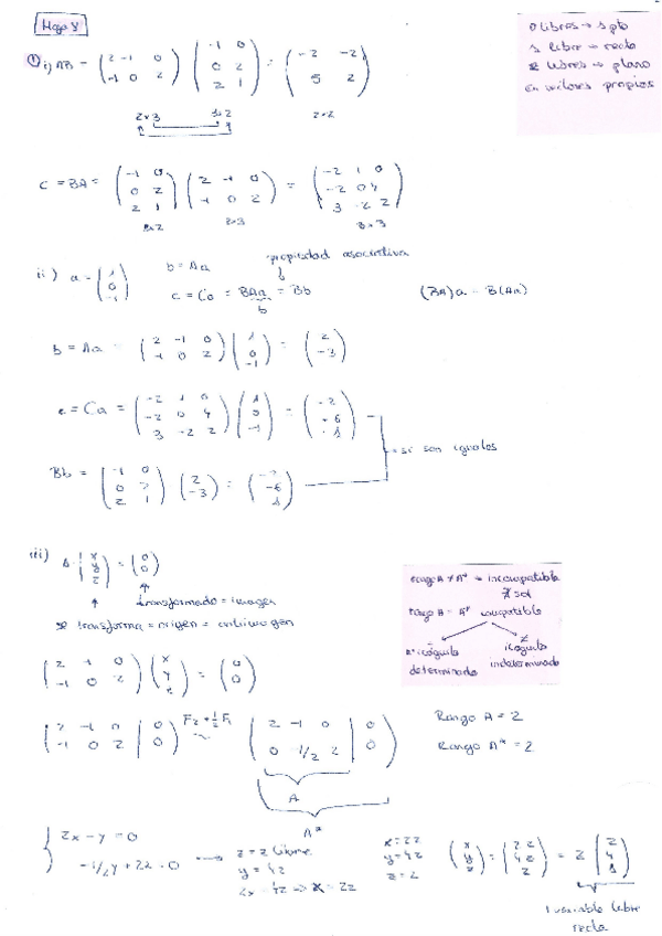Miniatura del documento Hoja8-matrices-y-sistemas-lineales.pdf