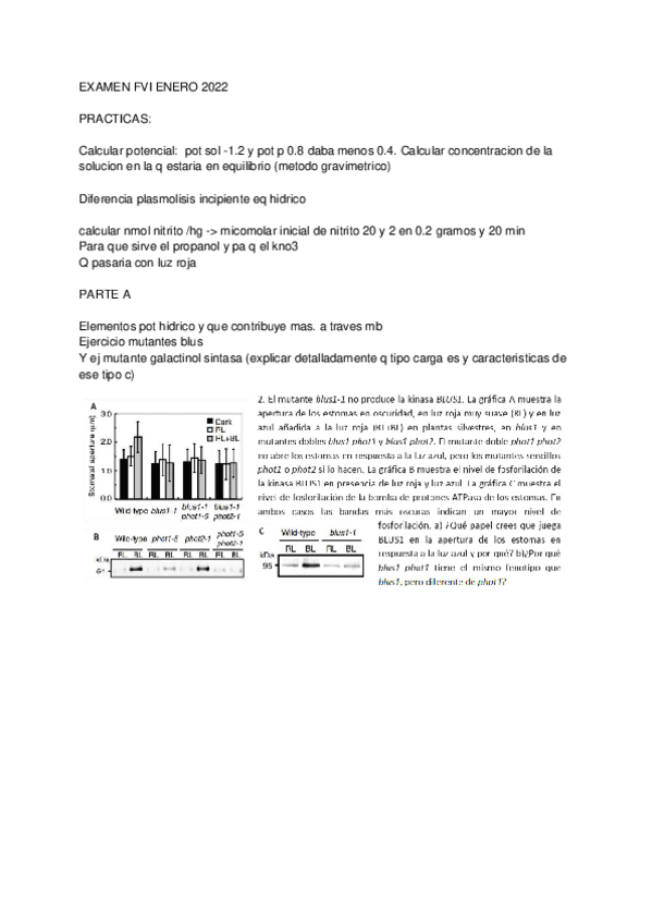 Miniatura del documento EXAMEN-FVI-ENERO-2022.pdf