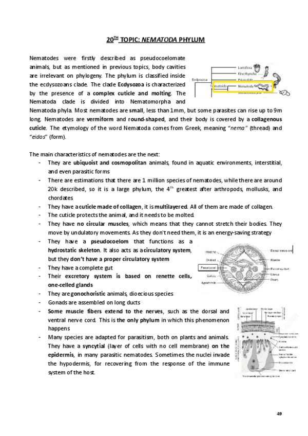 Miniatura del documento Phylum-Nematoda.pdf