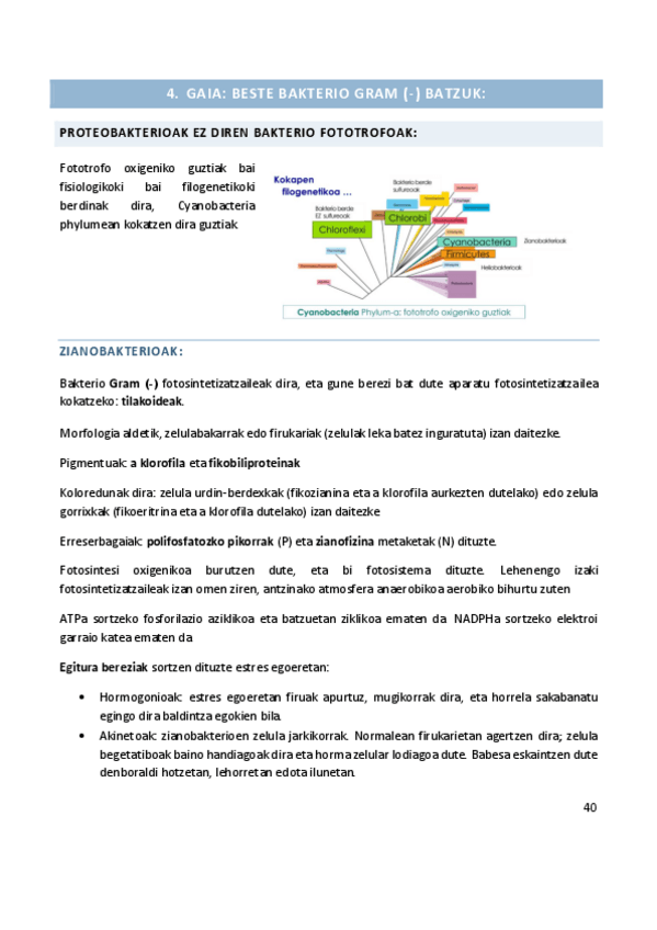 Miniatura del documento 4.pdf