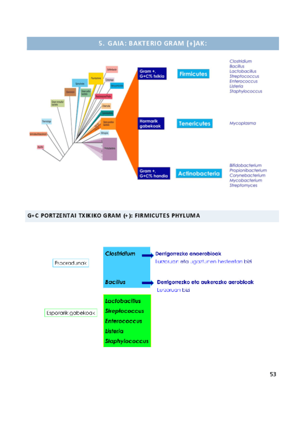 Miniatura del documento 5.pdf