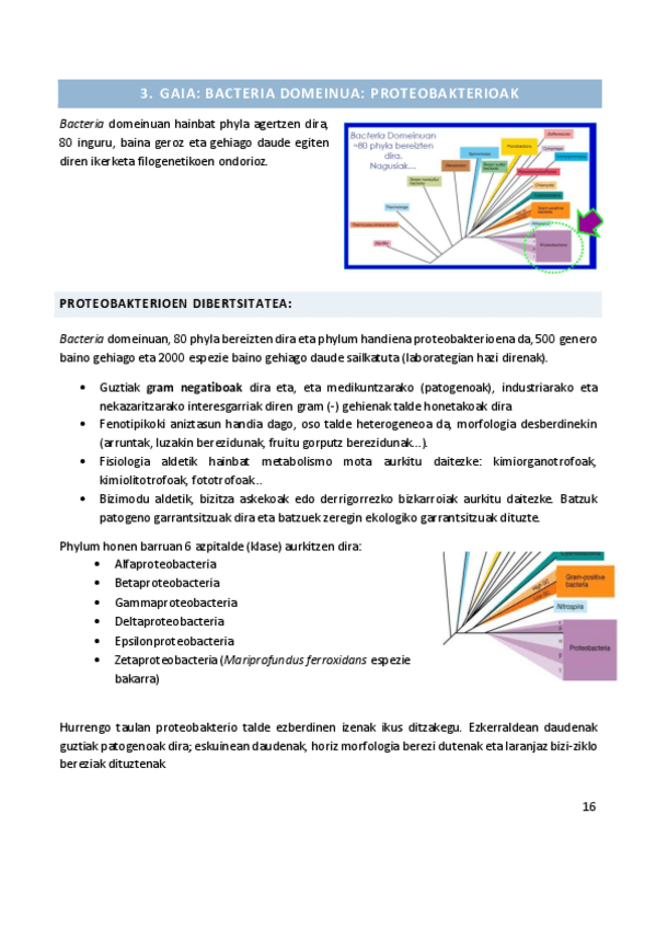 Miniatura del documento 3.pdf