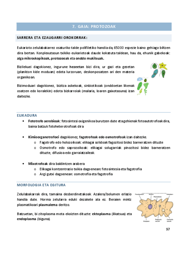Miniatura del documento 7.pdf