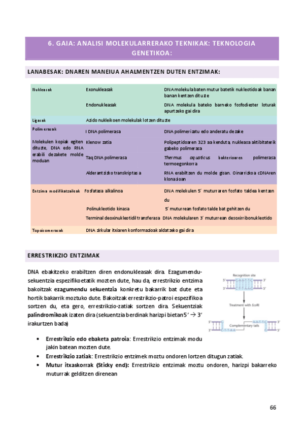 Miniatura del documento 6.pdf
