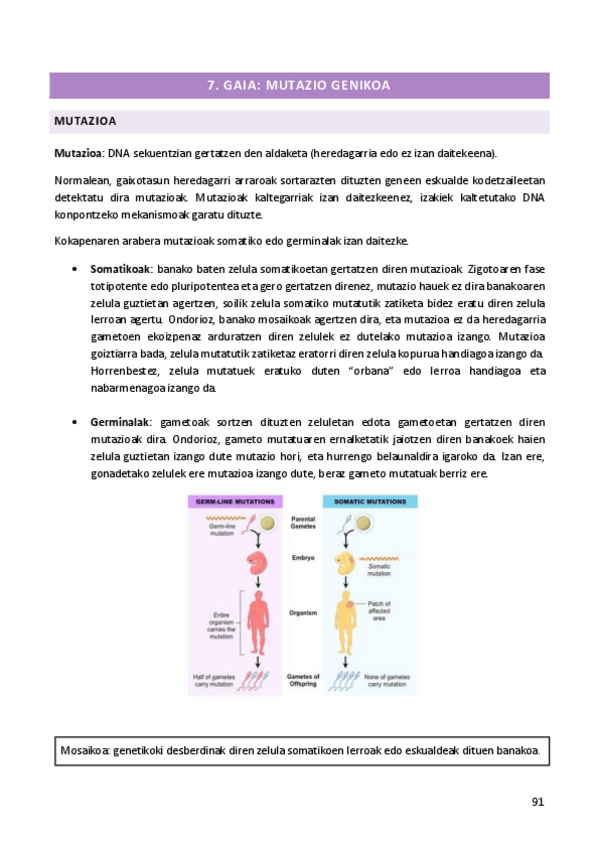 Miniatura del documento 7.pdf
