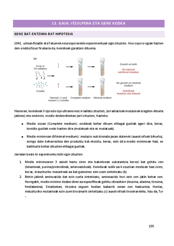 Miniatura del documento 11.pdf