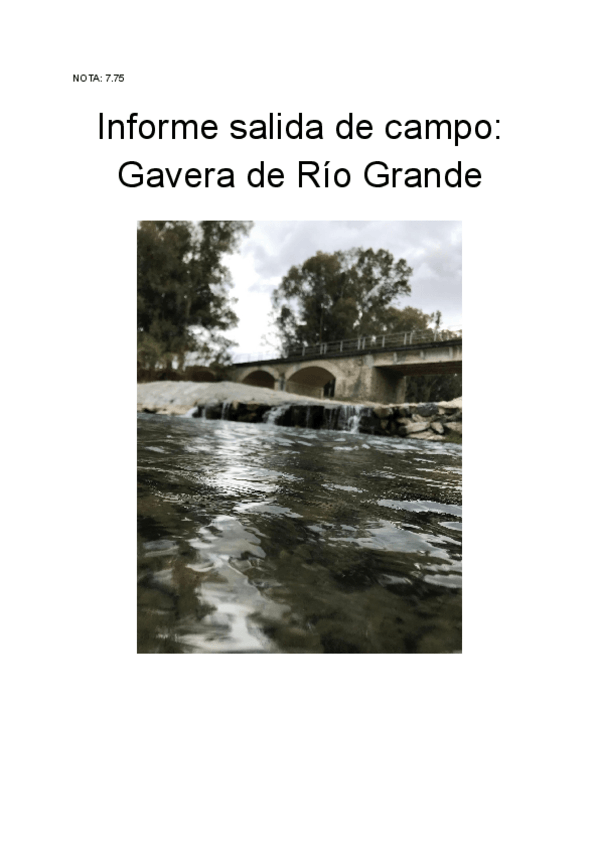 Miniatura del documento Informe-Gravera.pdf