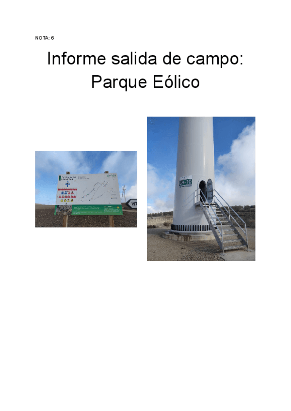 Miniatura del documento Informe-Parque-Eolico.pdf