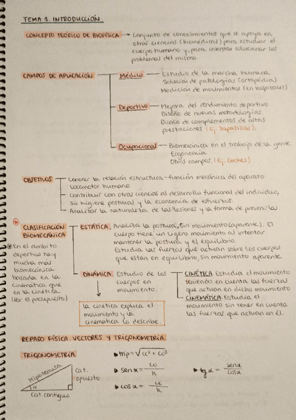 Miniatura del documento TEMA-1.pdf