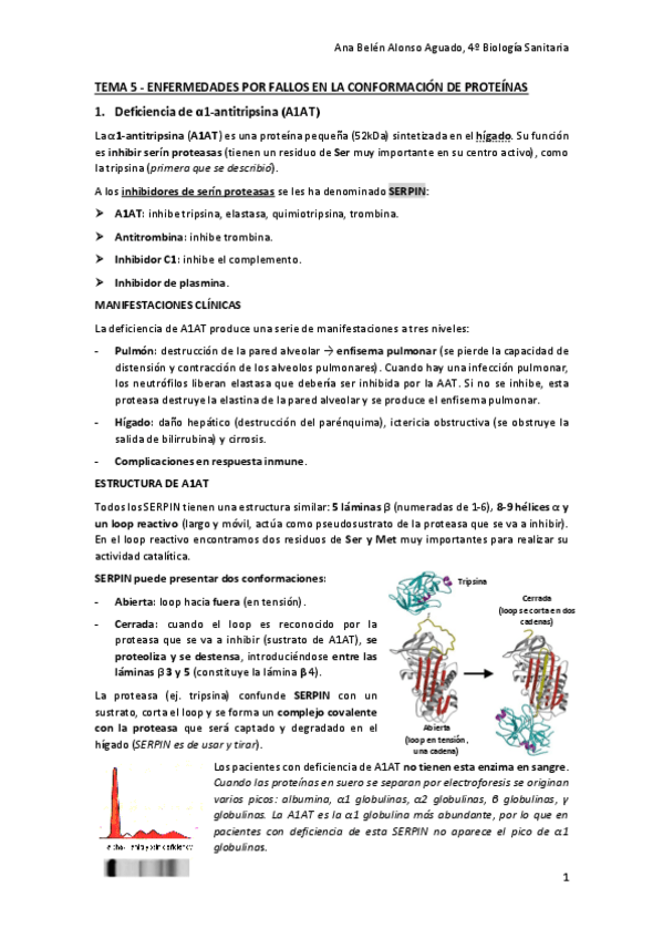 Miniatura del documento TEMA-5-ENFERMEDADES-POR-FALLOS-EN-LA-CONFORMACION-DE-PROTEINAS.pdf
